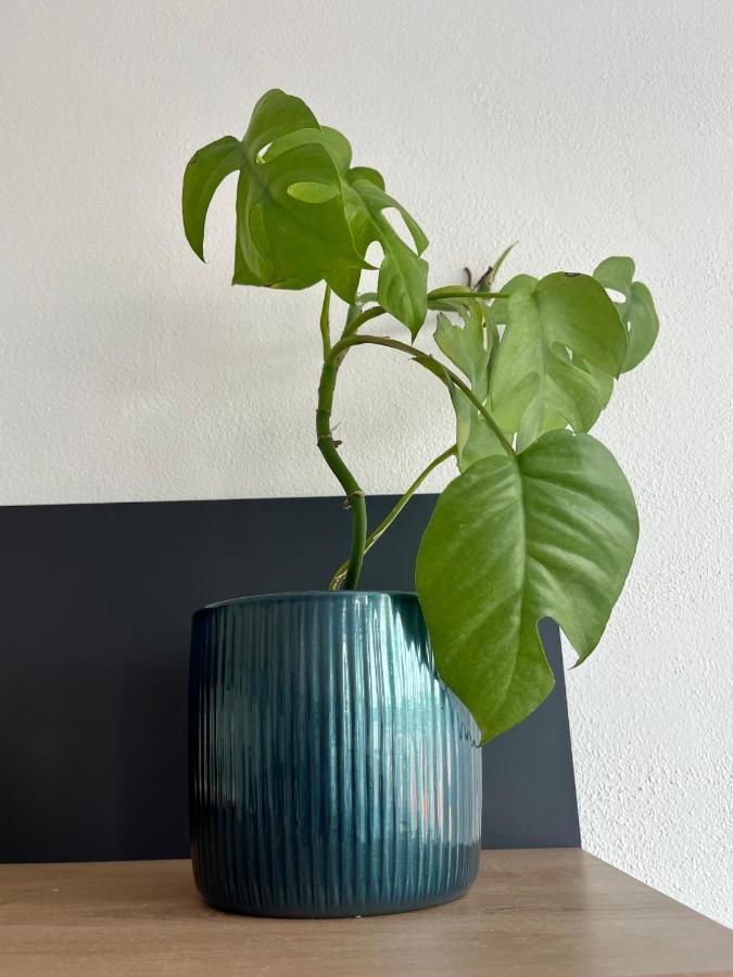 Monstera I Apartamento Kolín Exterior foto